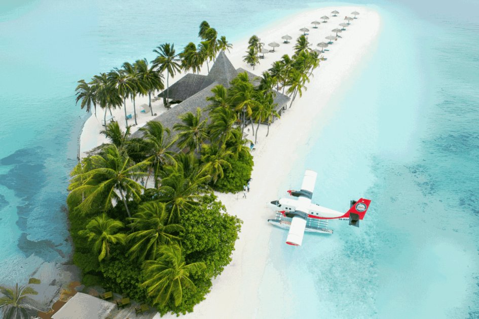 5 Resorts Celebrating Global Wellness Day 2025 in the Maldives
