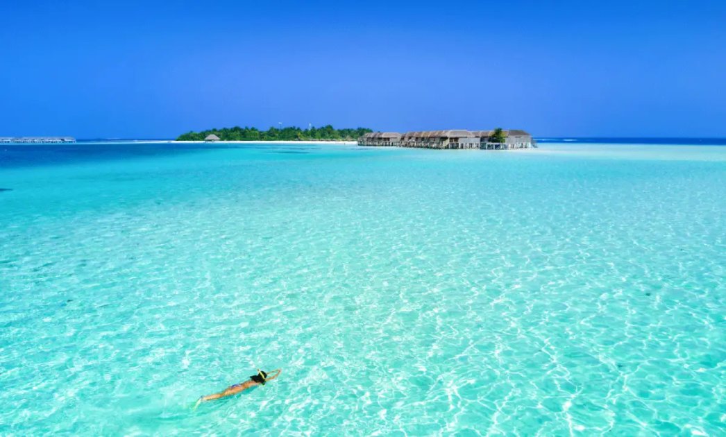 Dive into Serenity: Snorkeling in the Maldives, a Rejuvenating Escape