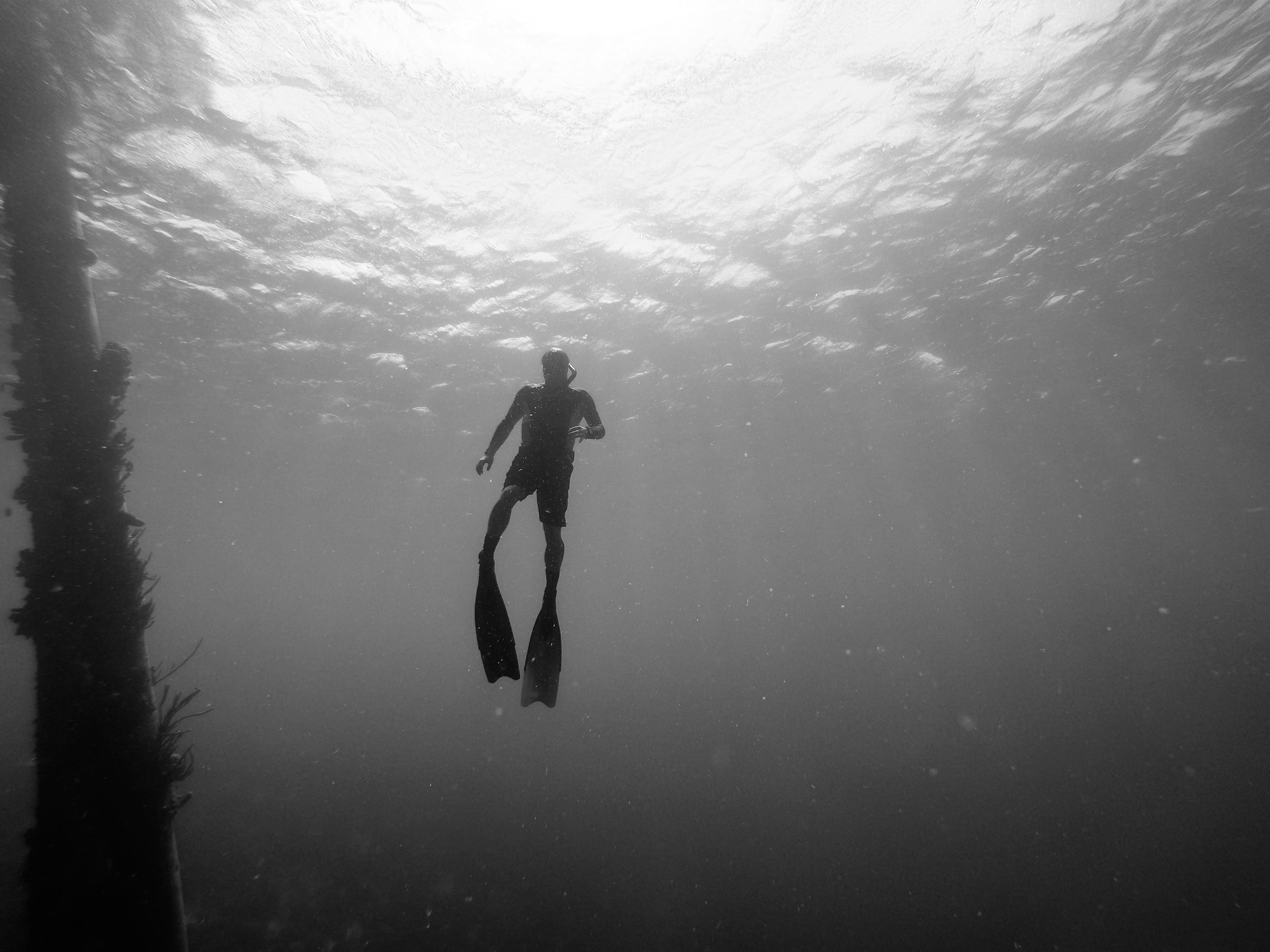 Read more about the article Exploring the Depths of Yourself: the Transformative Power of Freediving