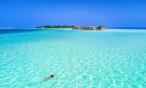 Read more about the article Dive into Serenity: Snorkeling in the Maldives, a Rejuvenating Escape